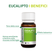 EUCALIPTO