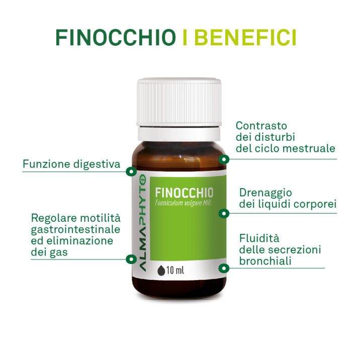 FINOCCHIO