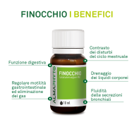 FINOCCHIO