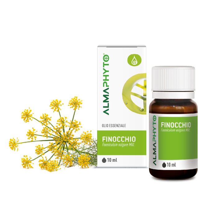 FINOCCHIO