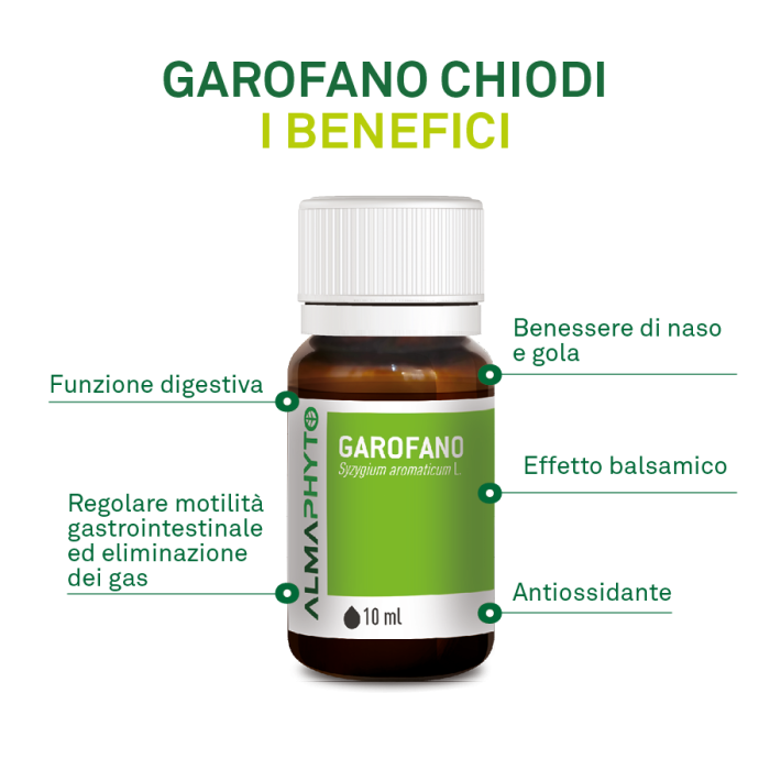 GAROFANO