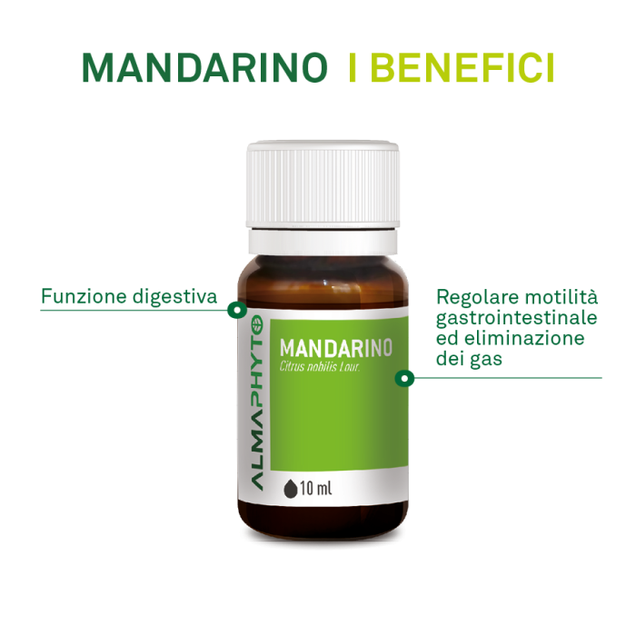 MANDARINO