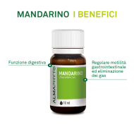 MANDARINO