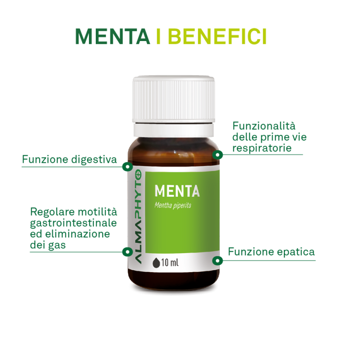 MENTA