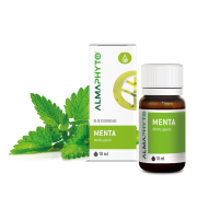 MENTA