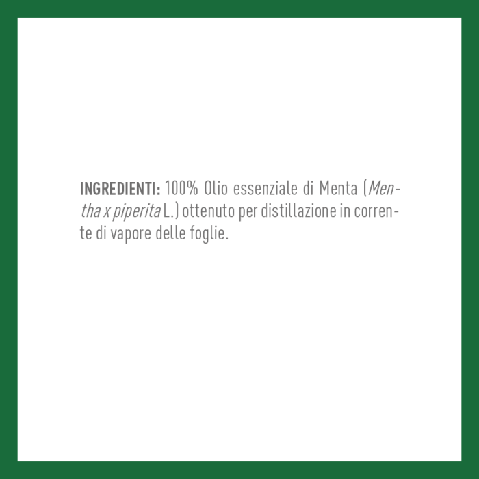 MENTA
