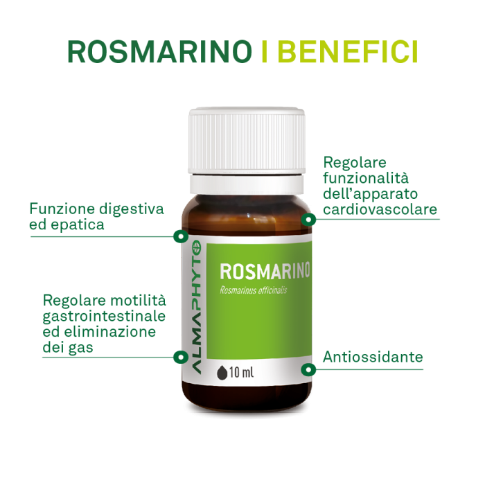 ROSMARINO