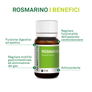 ROSMARINO