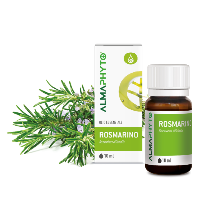 ROSMARINO