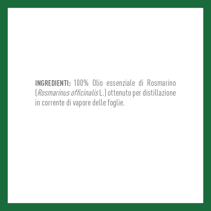 ROSMARINO