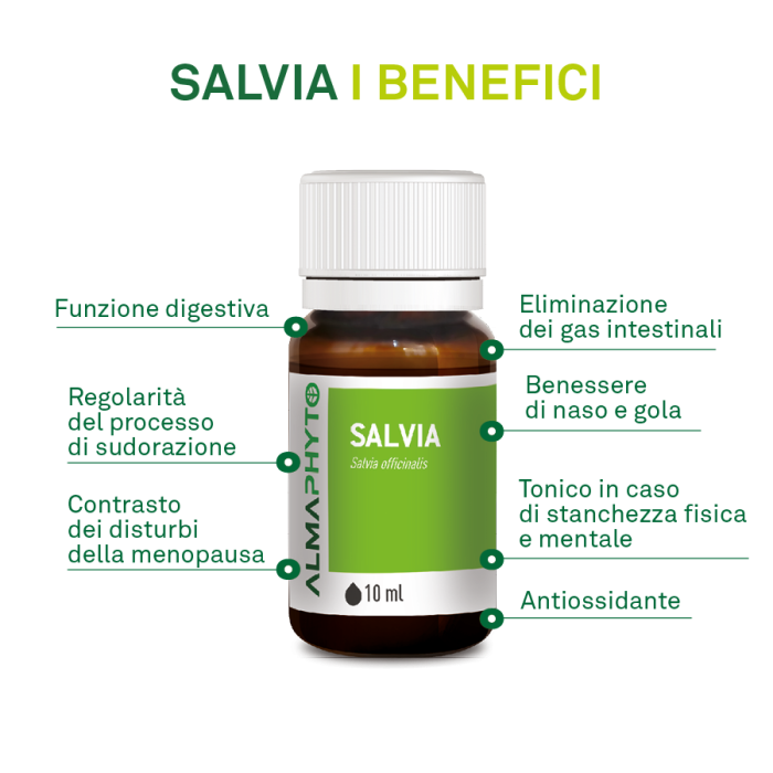 SALVIA