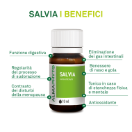 SALVIA