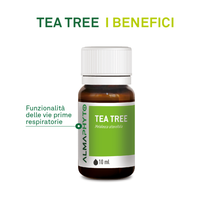 TEA TREE