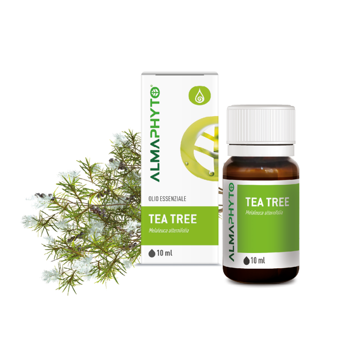 TEA TREE