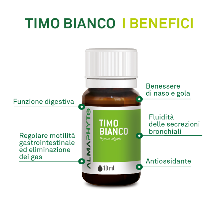 TIMO BIANCO