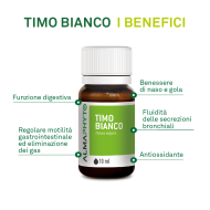 TIMO BIANCO