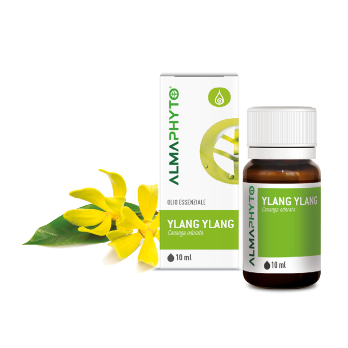 YLANG YLANG