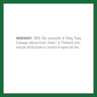 YLANG YLANG