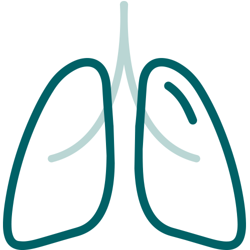 Integratori per il benessere delle vie respiratorie