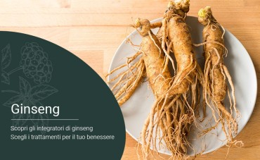 Ginseng: proprietà, benefici e come usarlo