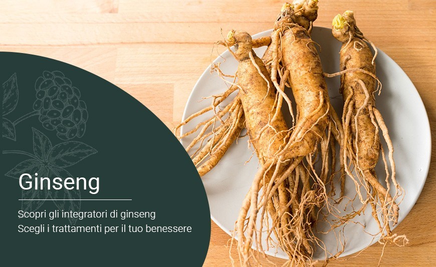 Ginseng: proprietà, benefici e come usarlo