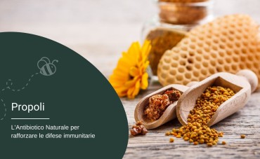 Propoli: Benefici, Utilizzi e Tutto Ciò che Devi Sapere